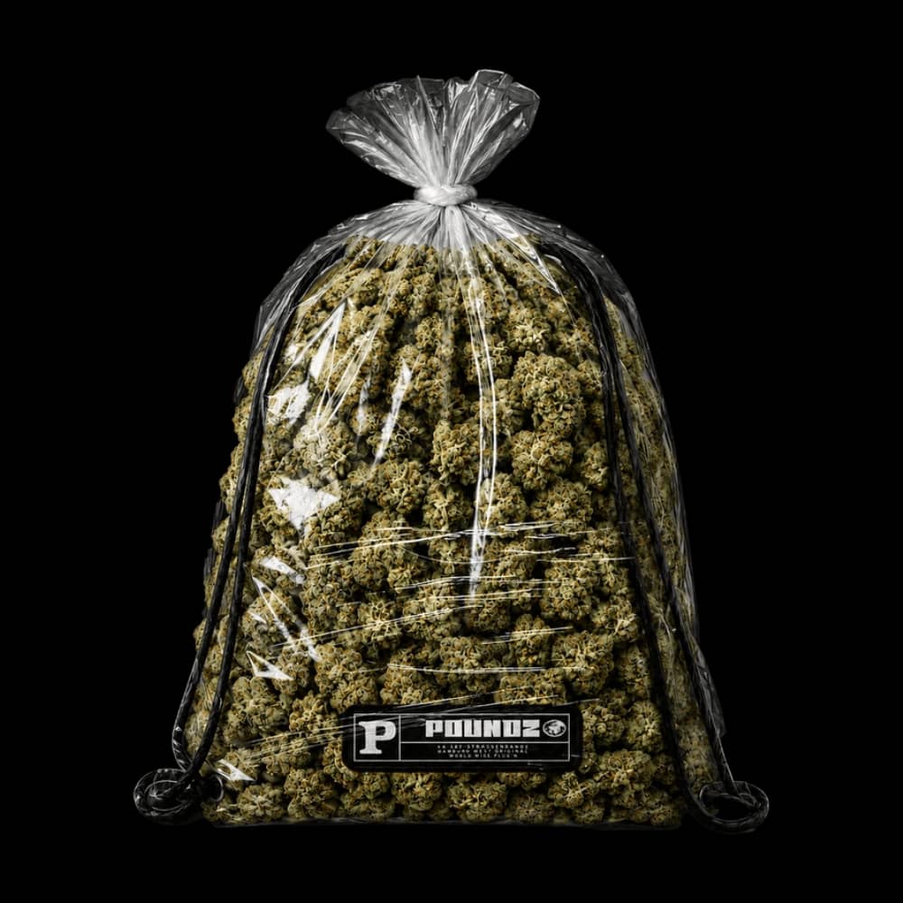 Cover von Poundz
